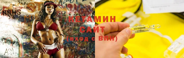 шишки Медвежьегорск