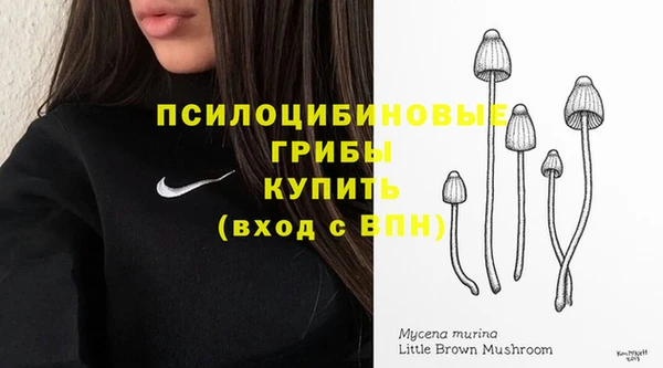 молекула духа Мегион