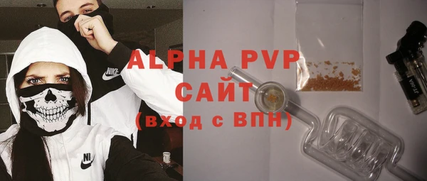 шишки Медвежьегорск