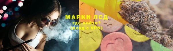 амф Вуктыл