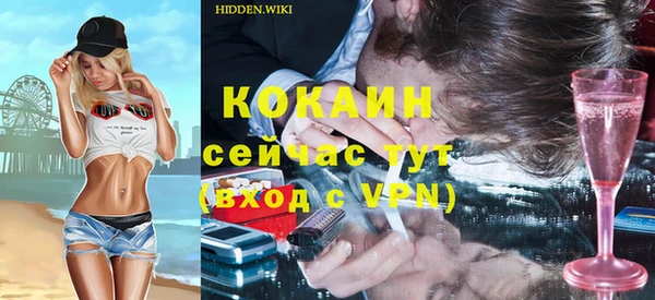 молекула духа Мегион