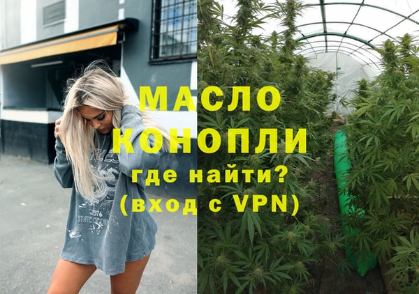 шишки Медвежьегорск