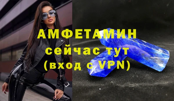 шишки Медвежьегорск