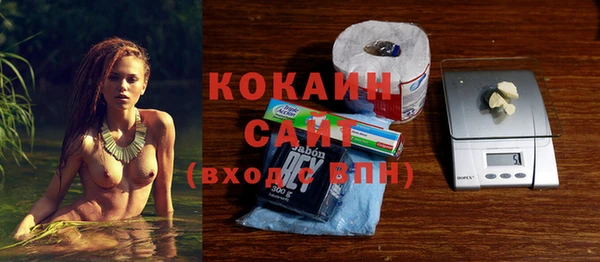 шишки Медвежьегорск