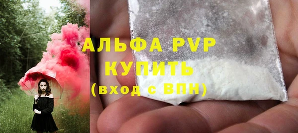 шишки Медвежьегорск