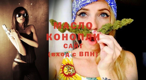 индика Всеволожск