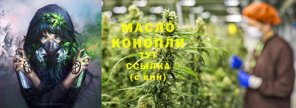 гидра Михайловка