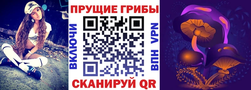 kraken зеркало  Очёр  Псилоцибиновые грибы мицелий 